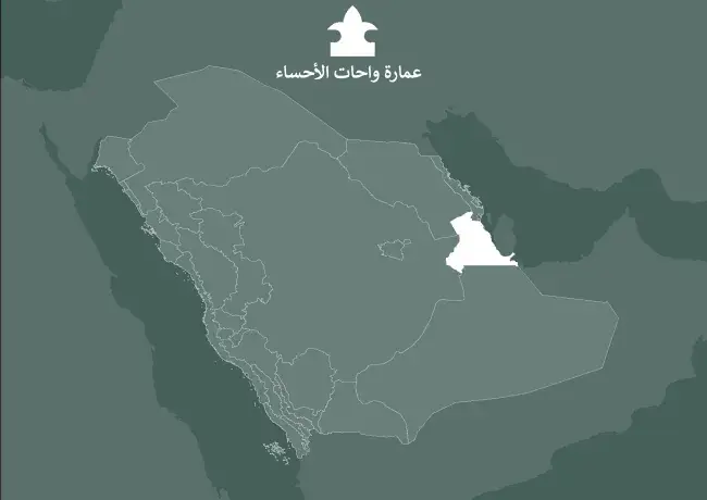 الموجهات التصميمية