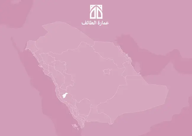 الموجهات التصميمية