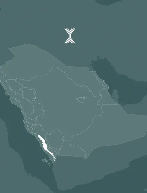 الدليل التطبيقي - المباني منخفضة الارتفاع سفوح تهامة